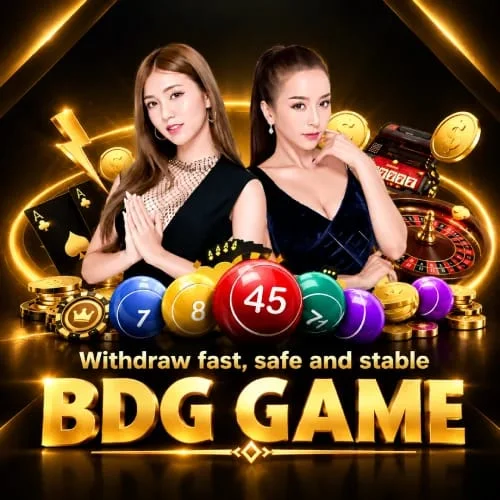 BDG game login and register screen